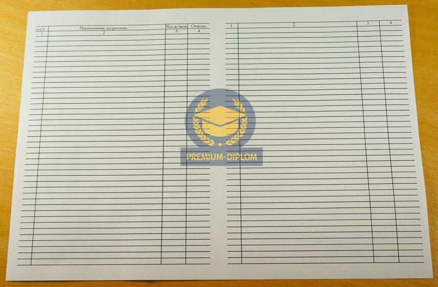 Специалист, Бакалавр, Магистр 2002-2010 года (Беларусь) - фото